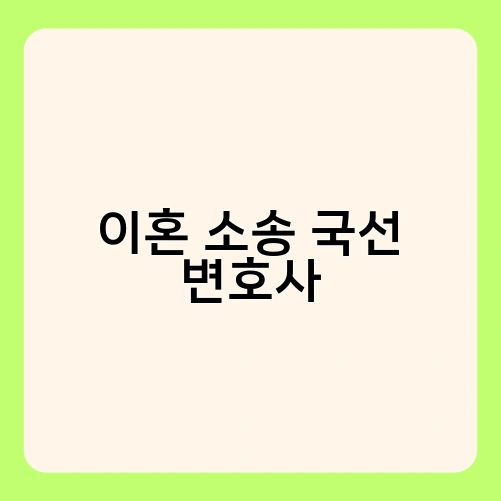 이혼 소송 국선 변호사 3