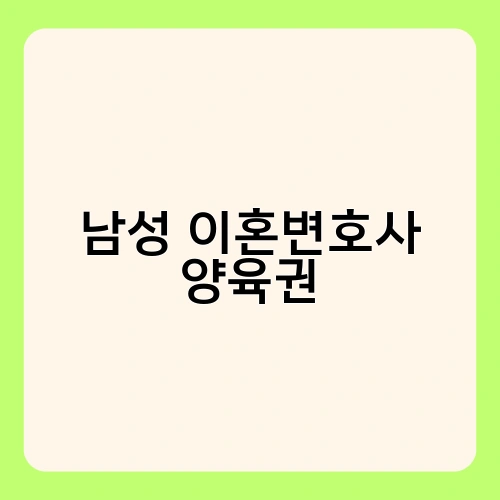 남성 이혼변호사 양육권 1