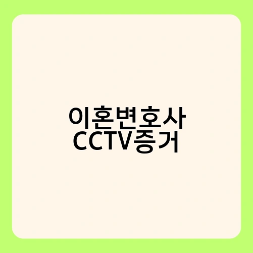 이혼변호사 CCTV증거 2