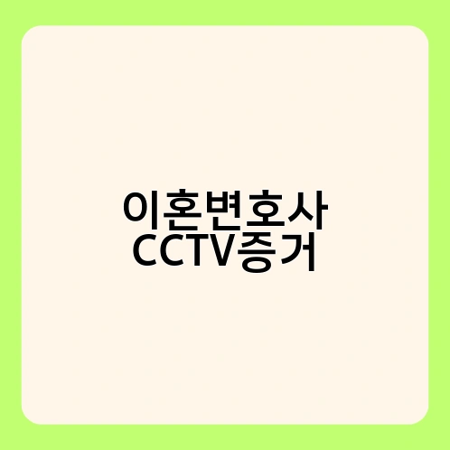 이혼변호사 CCTV증거