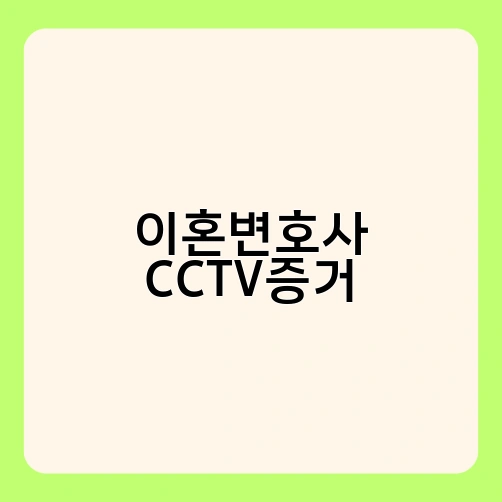 이혼변호사 CCTV증거 1