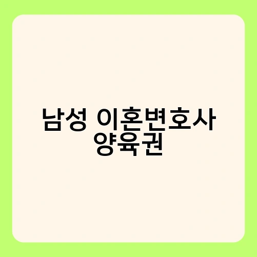 남성 이혼변호사 양육권